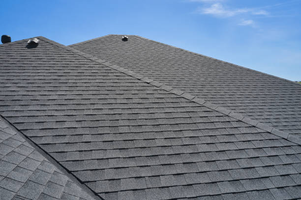 Best Roof Moss and Algae Removal  in Reisterstown, MD